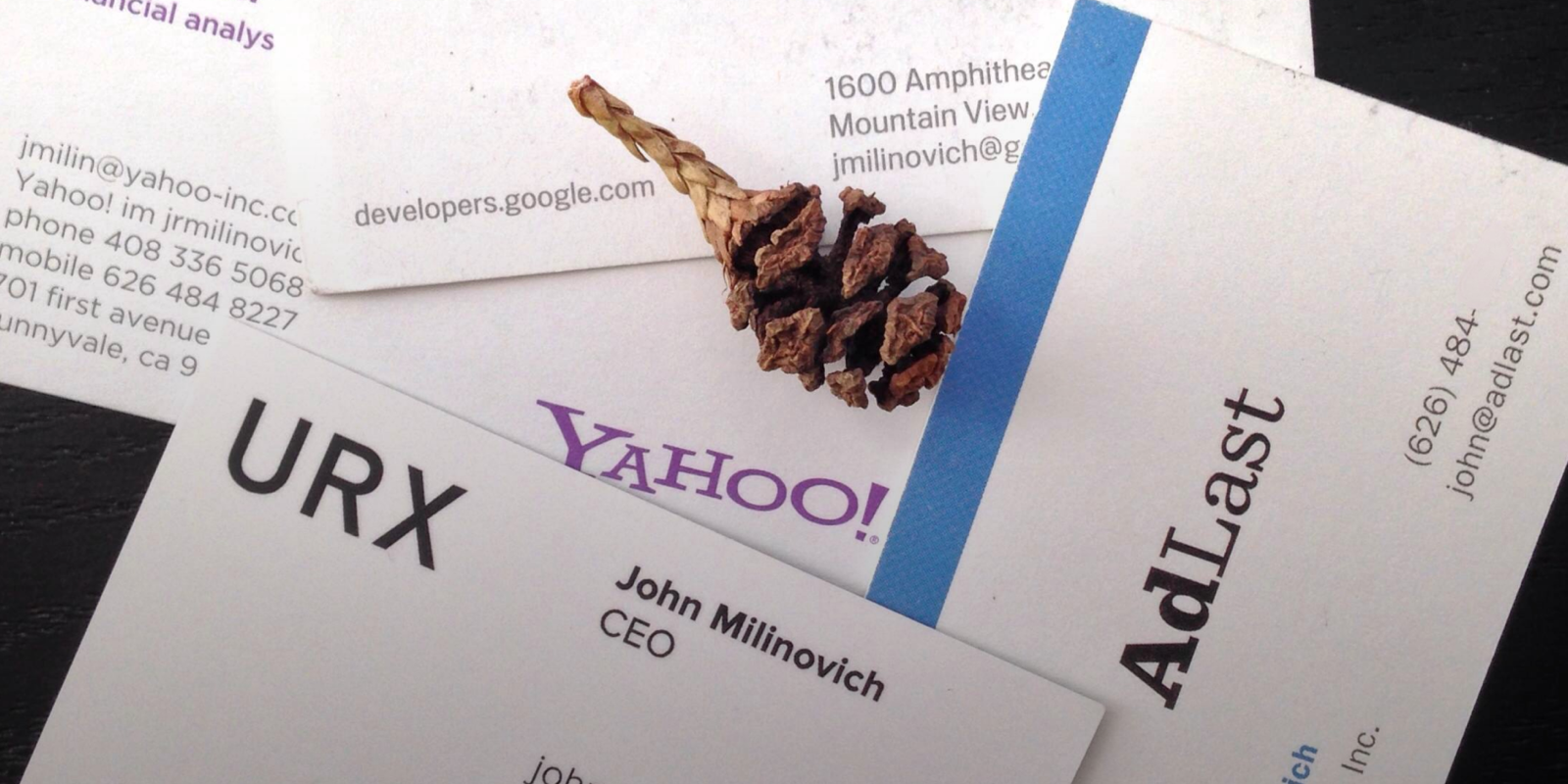 A mini pine cone resting on business cards from Yahoo, Google, AdLast and URX